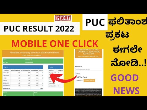 PUC RESULT 2022