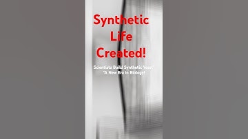 Scientists Create Synthetic Yeast: The Future of Synthetic Life