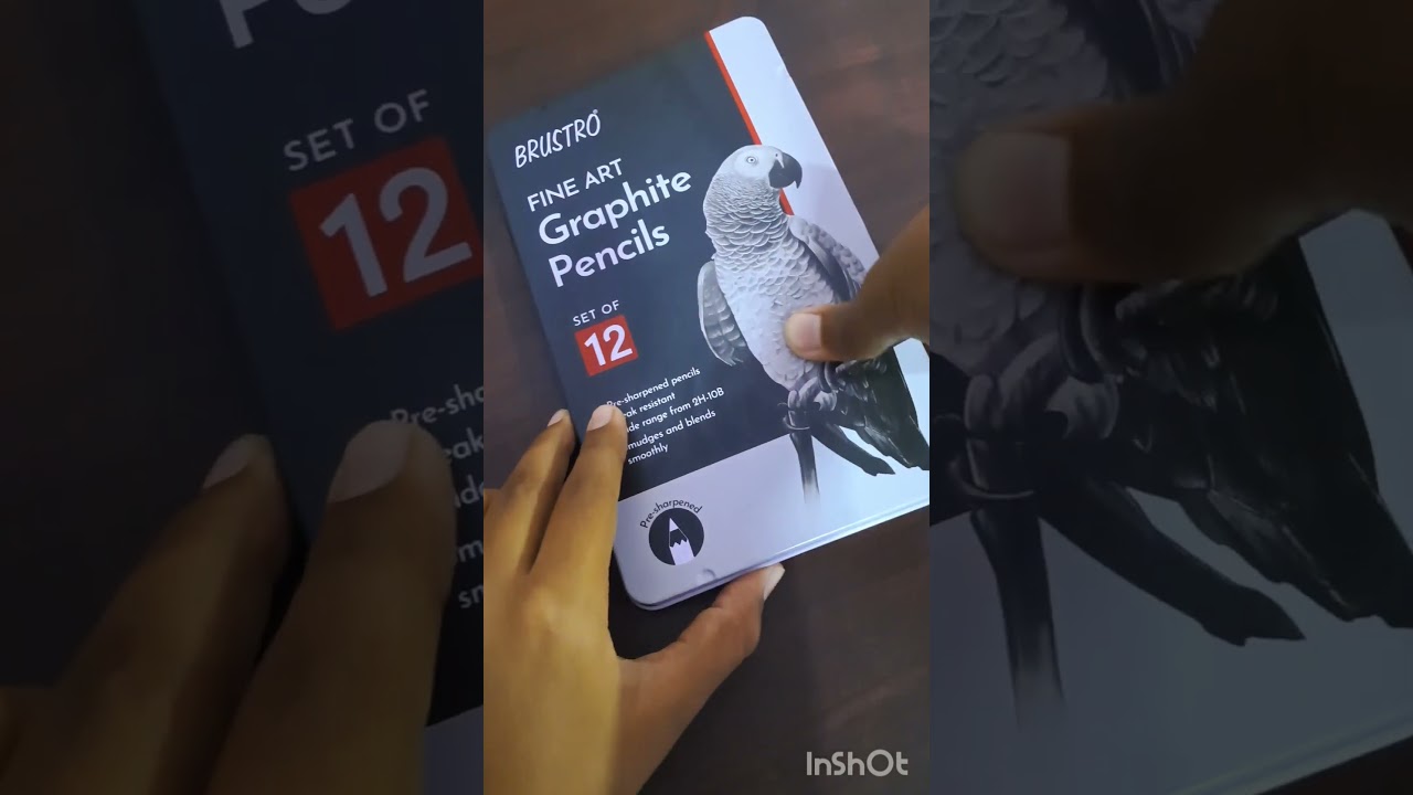 Brustro graphite pencils review✌️# song # ....