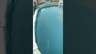 Finally, how to remove the dust, silt mess from bottom of pool