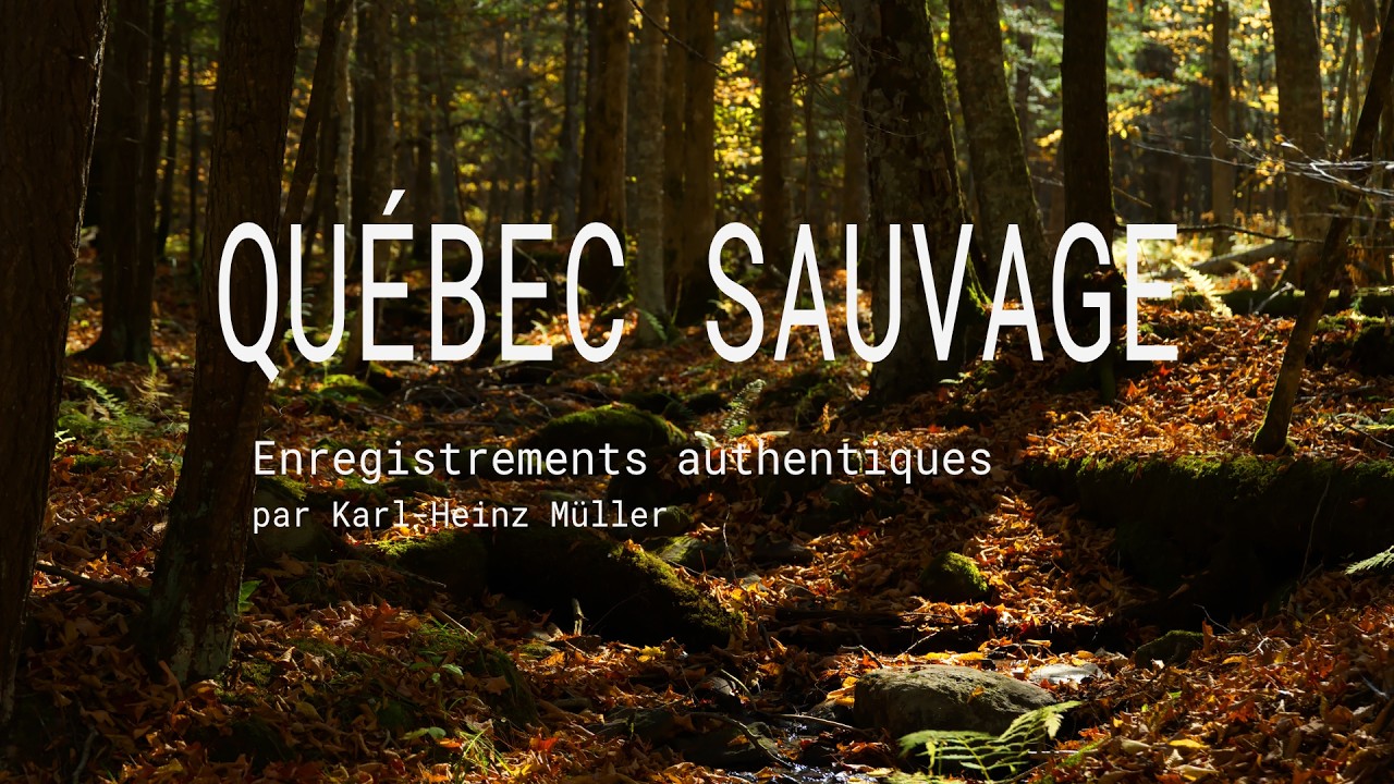 Paysages sonores :: Québec Sauvage :: 2026-02-24