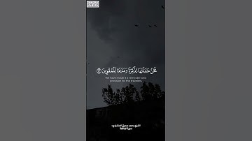 {نَحۡنُ جَعَلۡنَـٰهَا تَذۡكِرَةࣰ وَمَتَـٰعࣰا لِّلۡمُقۡوِینَ} | محمد صديق المنشاوي | سورة الواقعة.