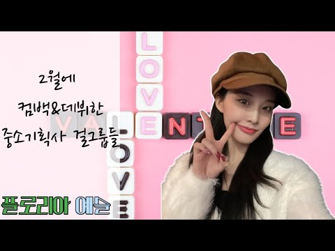 2월에 컴백&데뷔한 중소기획사 걸그룹들