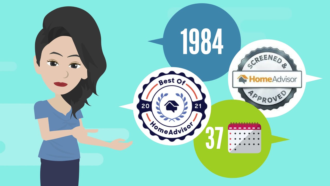 Top reasons to choose budget pest control bug insect wildlife exterminator services in Pittsburgh PA