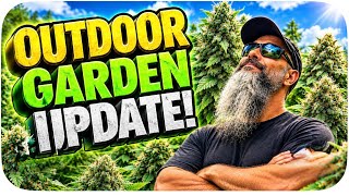 Garden update 1st week of September  #cannabiscommunity #promix #gaiagreen 