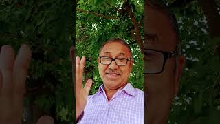 Pal Bhar Ke Liye kishorekumar devanand 