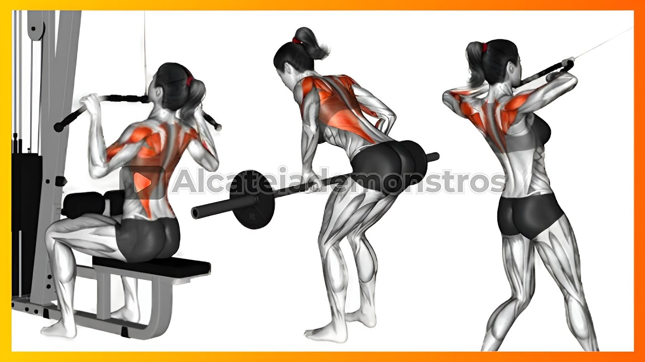 TREINO DE SUPERIORES COSTAS E BÍCEPS FEMININO GUIA COMPLETO PARA ...