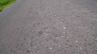 B MOV01038.AVI