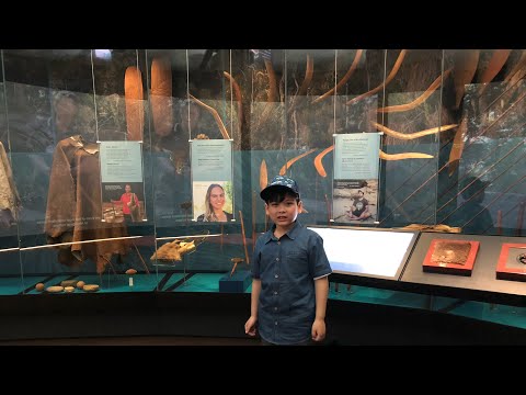 Trip to Boola Bardip WA Museum part 1
