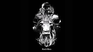 Niwmonia - Black'nBlues - 5 - Me and the devil (Robert Johnson Cover)