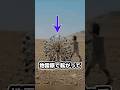このボールは子どもの命を救います#ゆっくり兵器解説 #地雷除去#地雷#マイン・カフォン