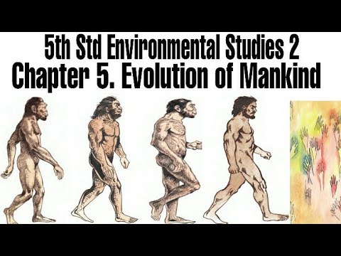 Chapter 5 Evolution Class 5, Evolution of Mankind, EVS 2, Chapter 5, History, Maharashtra ...