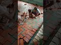 Ceramic Brick Floor Soling And Pointing 