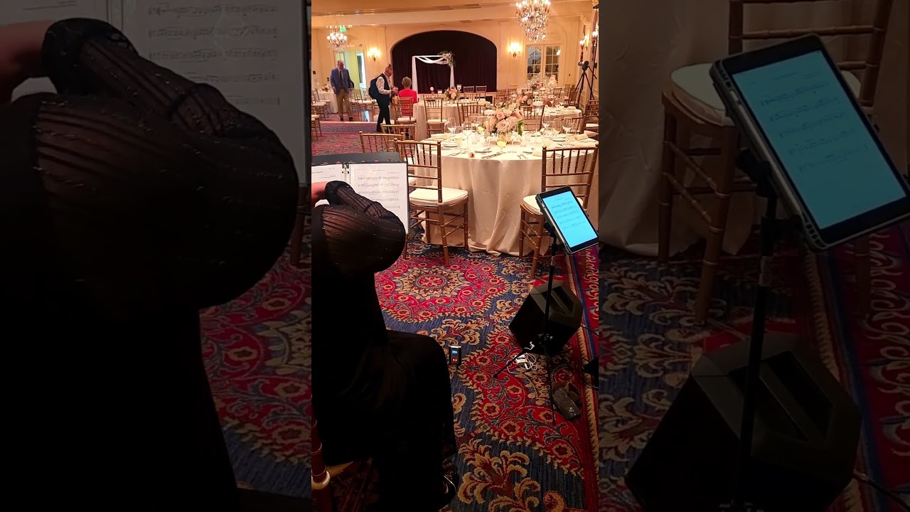 Elegant Wedding Prelude