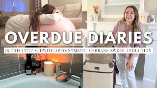OVERDUE DIARIES | is this finally it?!!!