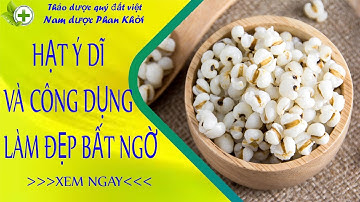 Hạt ý dĩ, mỹ phẩm đặc biệt của thiên nhiên.