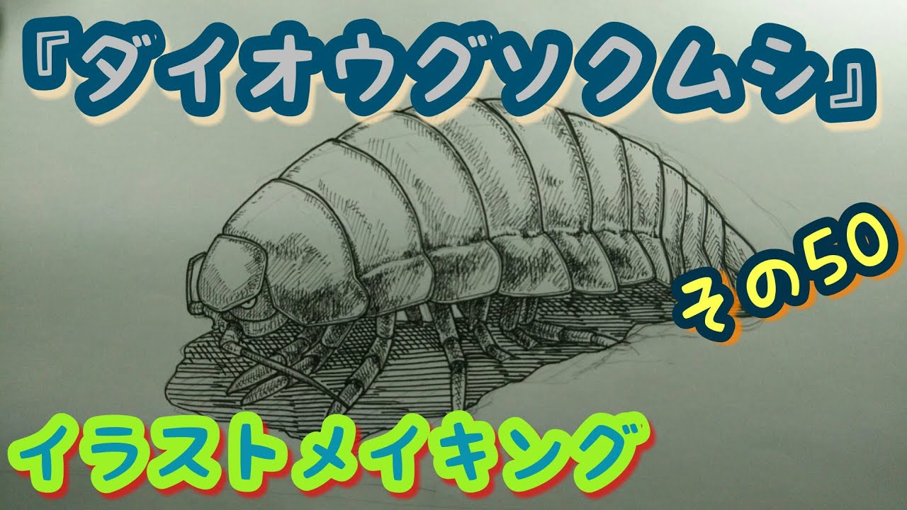 ダイオウグソクムシのイラスト描いてみた Giant Isopod Drawing Youtube