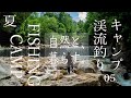 渓流釣りしてキャンプ - 旧友と山岳渓流   mountain river fishing camp in summer time