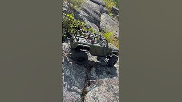 Redcat Marksman RC, Will It Make It?