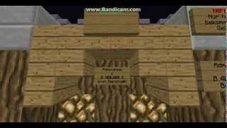 Minecraft Server Vorstellung Kingdom Fall