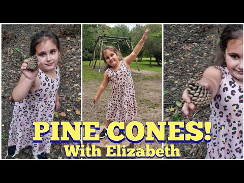 Picking Pine Cones in the Forest with Elizabeth