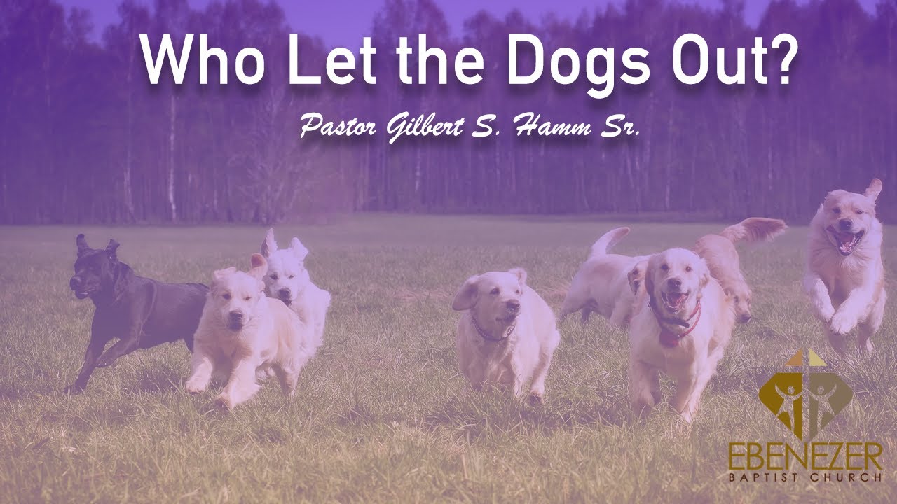 WHO LET THE DOGS OUT FINAL 3 26 23 YouTube