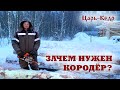 Зачем нужен КОРОДЁР? Строительство срубов из бревна.