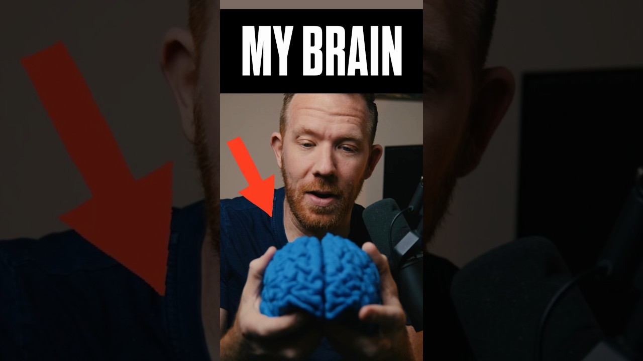 🧠 My brain #brain #memory #everydaygenius