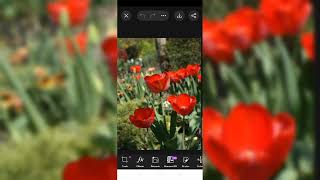 Masterclass de Correção de Cor em Retratos HDR  | Photoshop   Canon R5 4K 🎨#n925k#2184