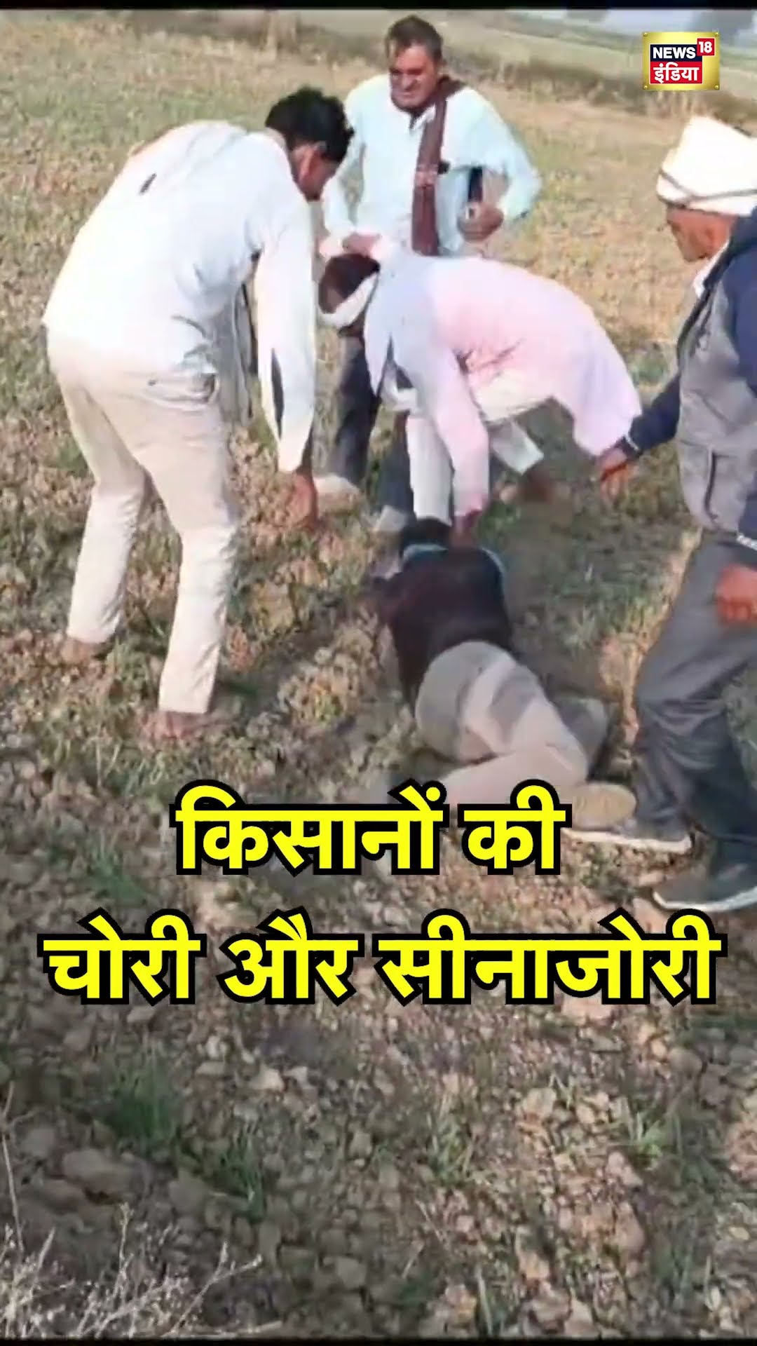 Madhya Pradesh के Morena में बिजली चोरी कर रहे किसानों ने बिजली कर्मचारी को पीटा | Hindi News | N18S
