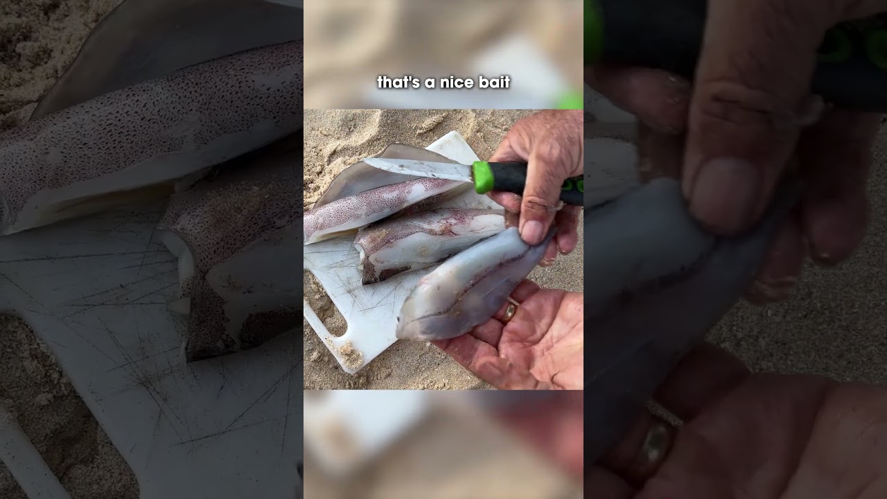Cut up your squid into strips for BIG FISH - waste NOTHING!