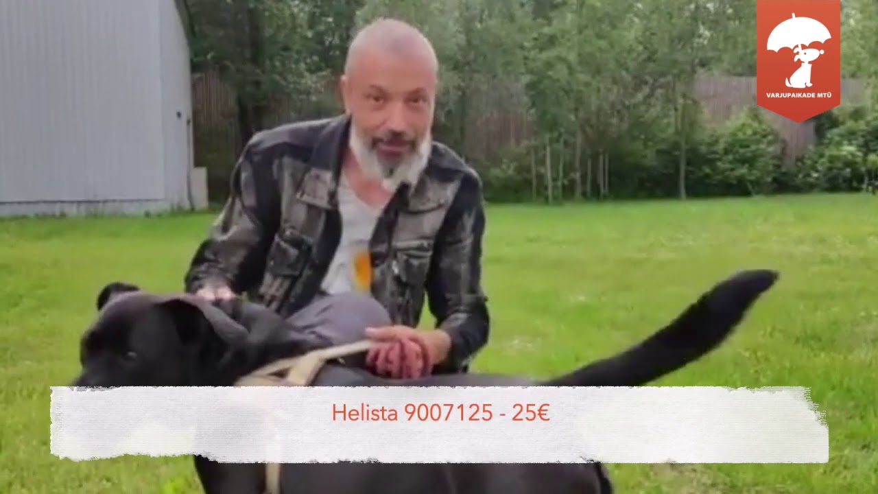 Owe Petersell kutsub üles toetama Varjupaikade MTÜ-d