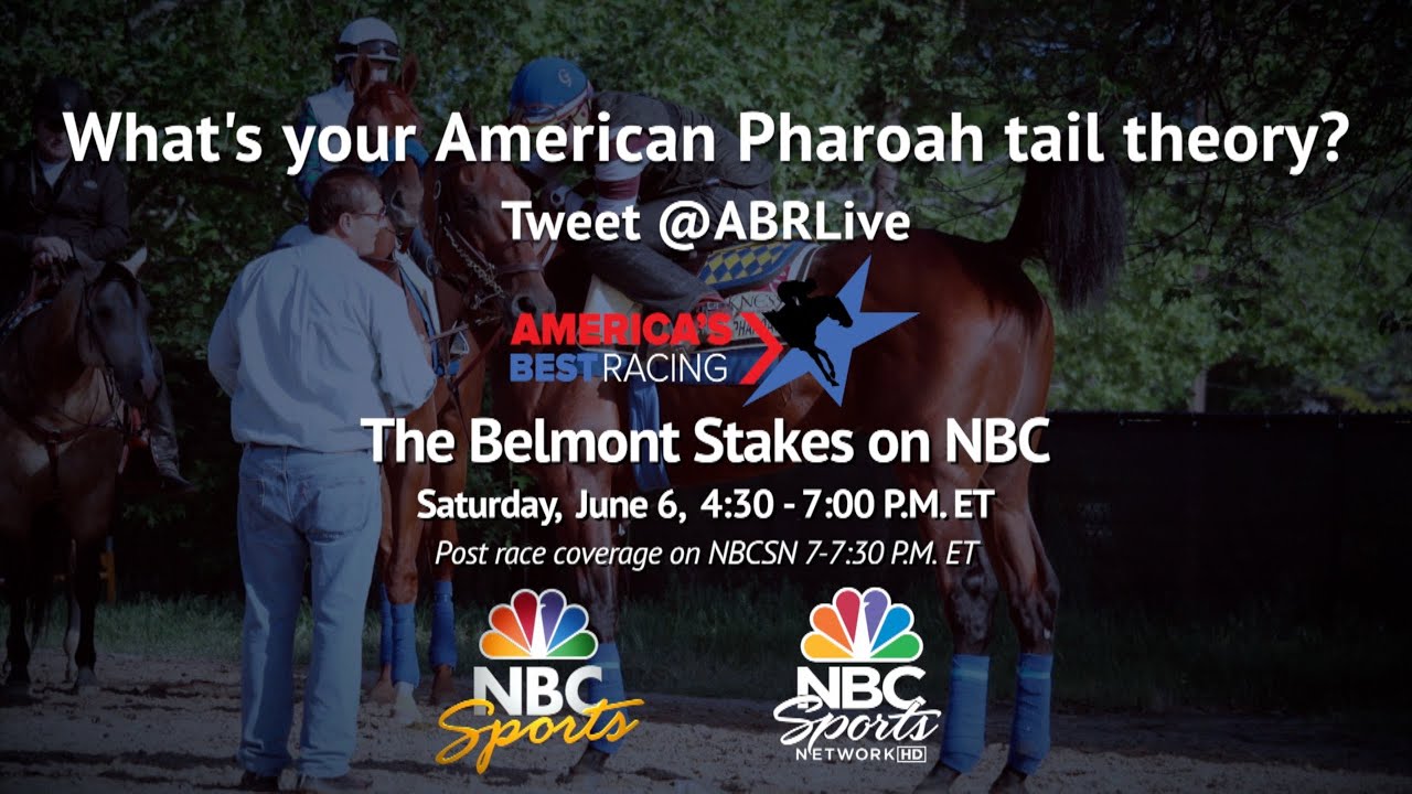 kentucky derby winner 2019 American Pharoah: Tail Theories