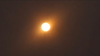 Testing out my Solar Eclipse glasses #2 