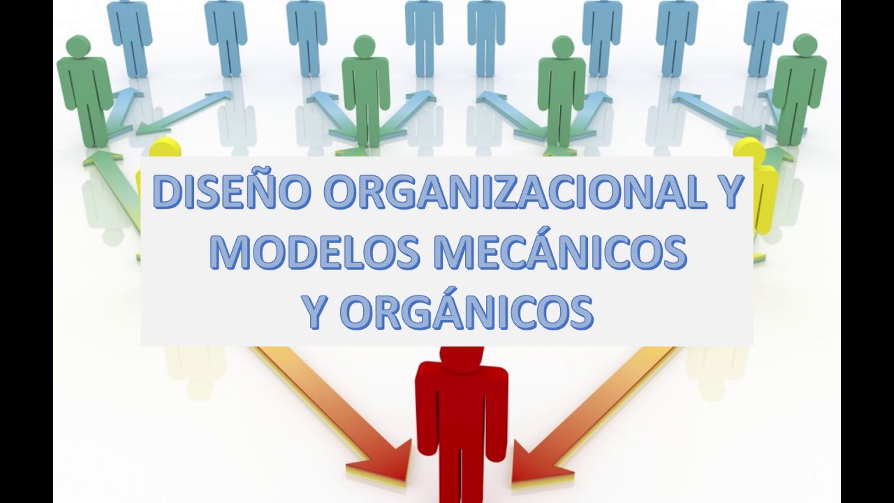 DISEÑO ORGANIZACIONAL Y MODELOS MECÁNICOS Y ORGÁNICOS - YouTube