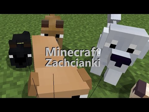 Minecraft Zachcianki: [5]