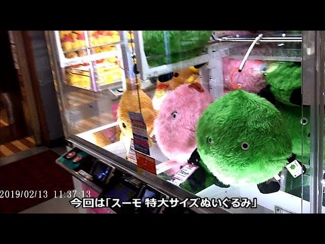 【UFOキャッチャー】スーモ 特大サイズぬいぐるみ - YouTube