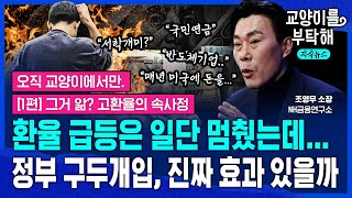 [지식뉴스] 뚝 떨어진 환율에 일단 안도했는데...정부 구두개입, 끝까지 효과 있을까? 환율이 급등했던 진짜 이유 (ft.조영무 NH금융연구소장) / 교양이를 부탁해