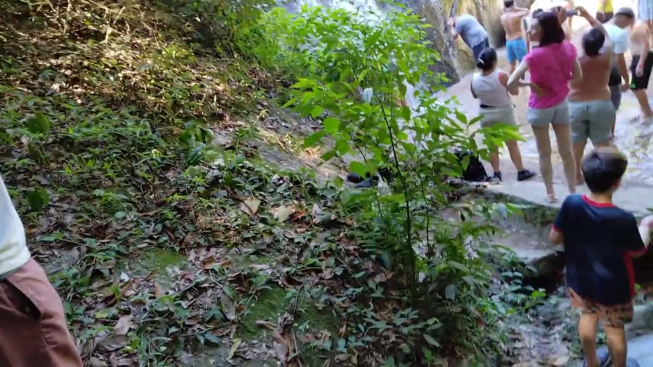 Into the Ilhabela Jungle Cruise Excursion