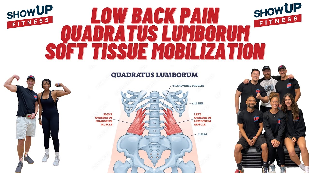 Low Back Pain QUADRATUS LUMBORUM Soft Tissue Mobilization Show Up Fitness Level 2 certification
