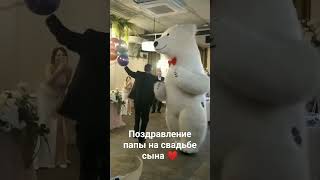 #свадьба  #любовь  #ведущий  #ведущие