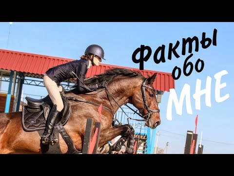 Видео: Моя история в спорте и разбор лошадей
