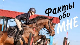 Моя история в спорте и разбор лошадей