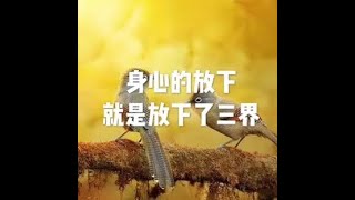 201505 身心的放下就是放下了三界20059