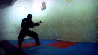 Pencak Silat Yemen - Tunggal By Scorpion Amr