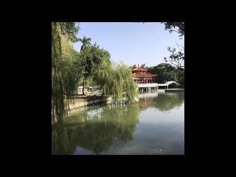 盼你回首 比莉 王雪娥