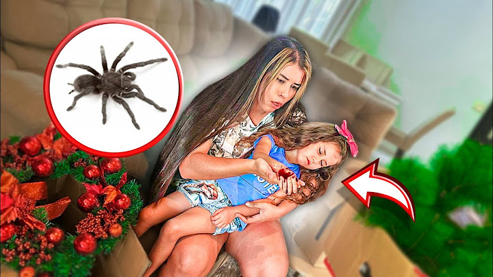 UMA ARANHA VENENOSA SAIU DA ÁRVORE DE NATAL E PICOU MINHA IRMÃZINHA!!