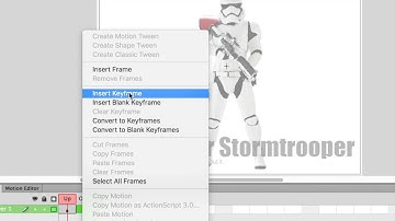Interactive Button - Flash