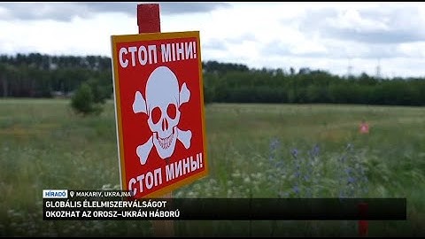 Globális élelmiszerválságot okozhat az orosz - ukrán háború