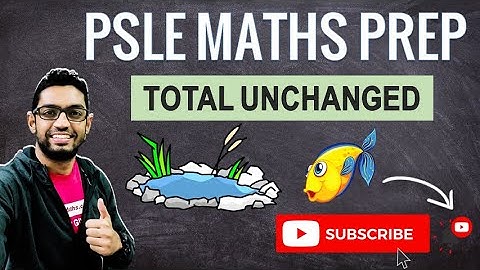 Total Unchanged | Learn Problem Sums | PSLE MATHS PREP